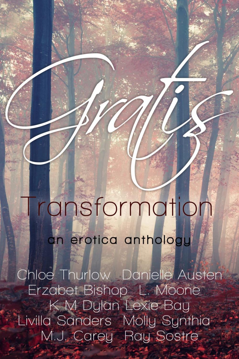 Big bigCover of Gratis : Transformation