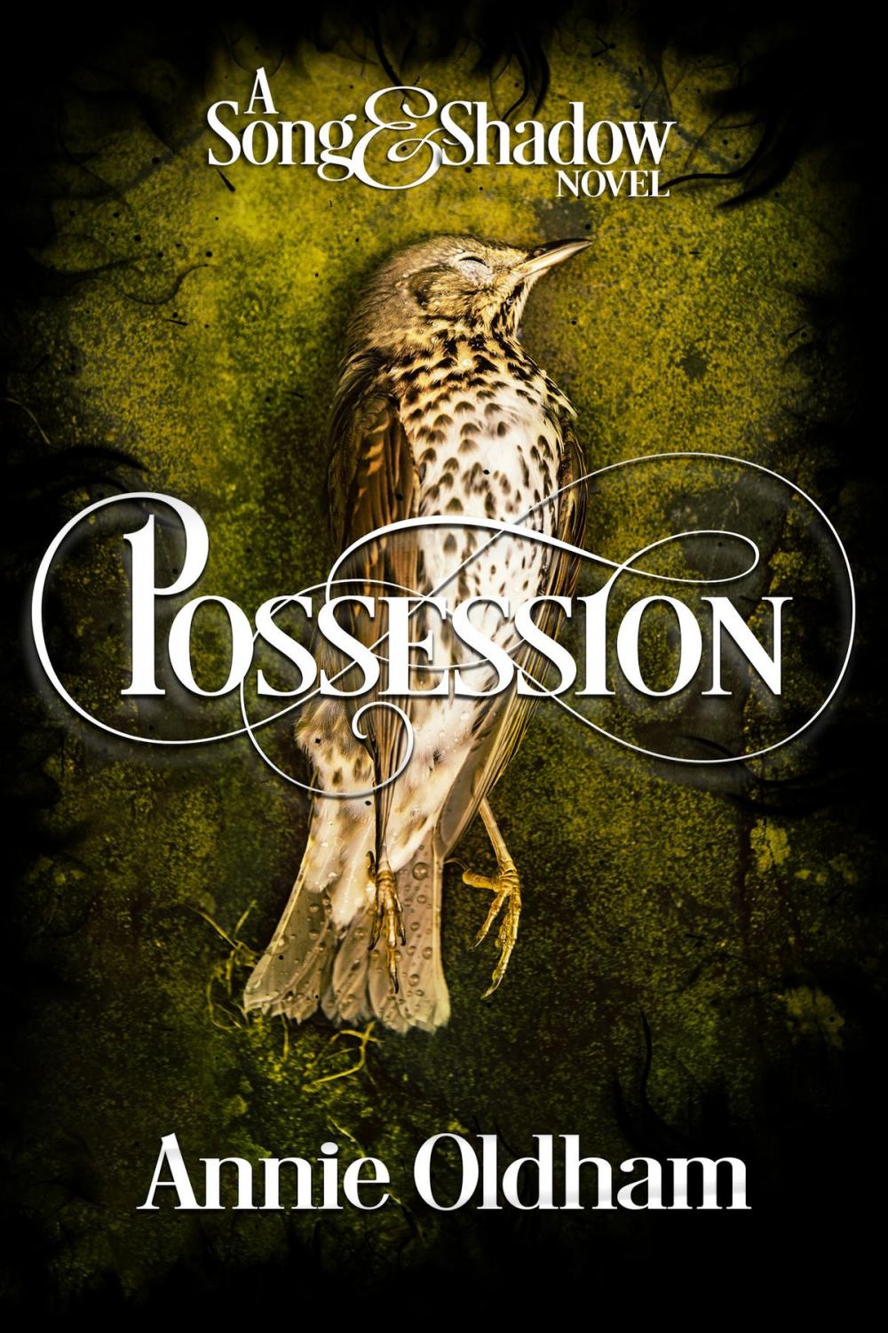 Big bigCover of Possession