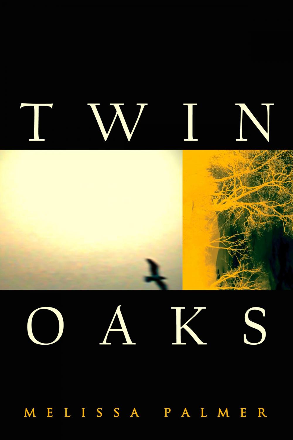 Big bigCover of Twin Oaks