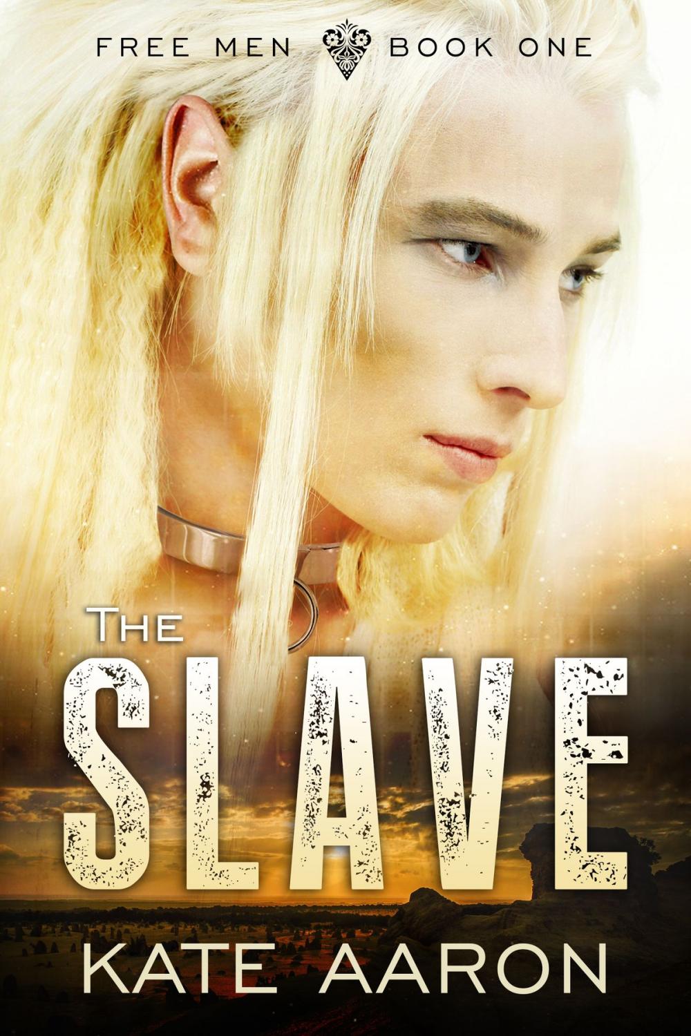 Big bigCover of The Slave (Free Men, #1)