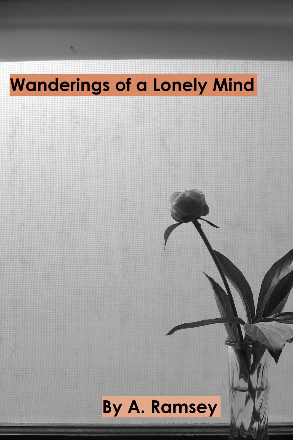 Big bigCover of Wanderings of a Lonely Mind