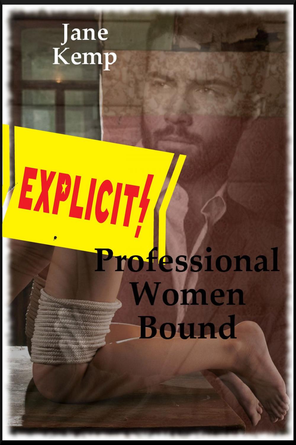 Big bigCover of Professional Women Bound