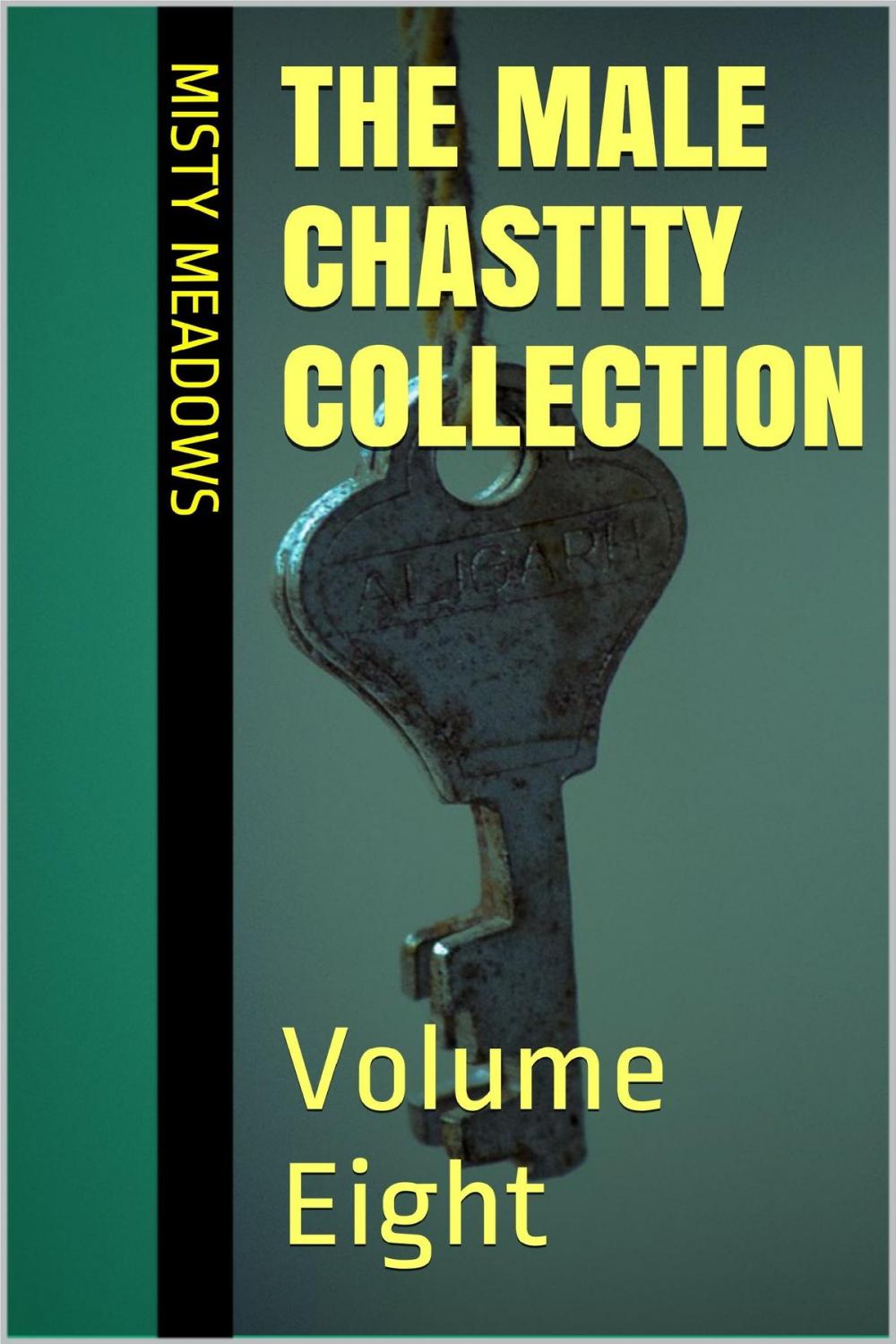 Big bigCover of The Male Chastity Collection: Volume Eight (Femdom, Chastity)