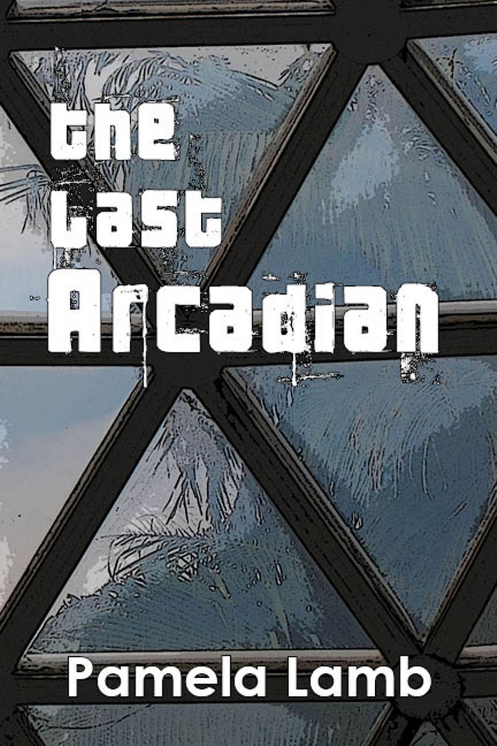 Big bigCover of The Last Arcadian