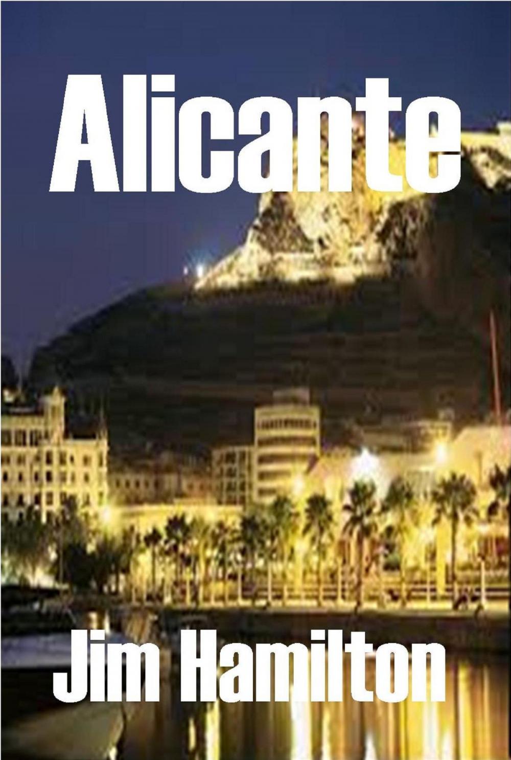 Big bigCover of Alicante