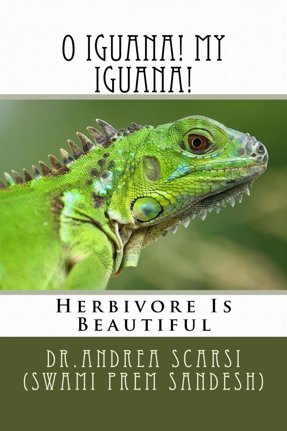 Big bigCover of O Iguana! My Iguana!