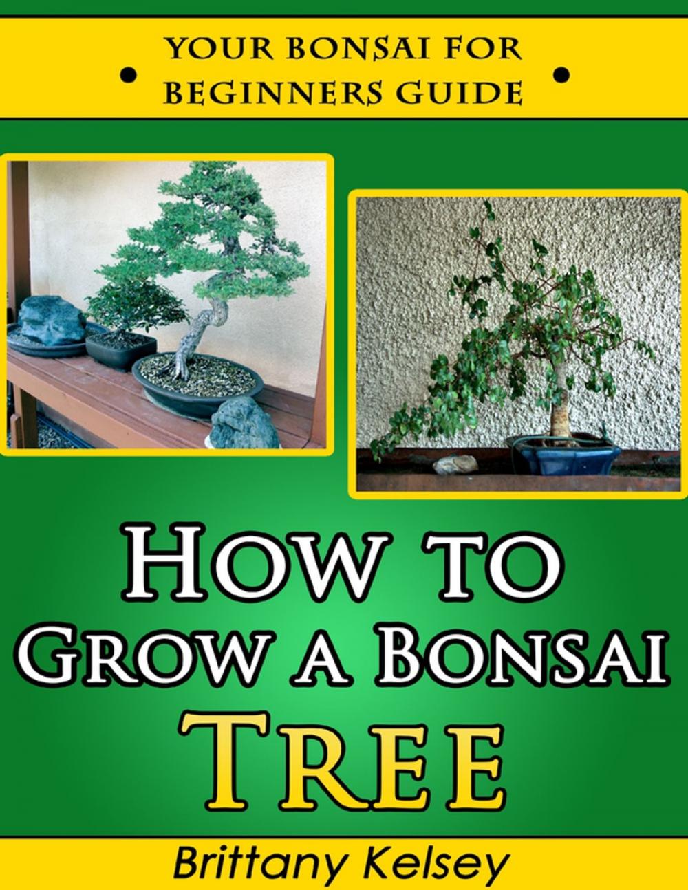 Big bigCover of How to Grow a Bonsai Tree: Your Bonsai for Beginners Guide