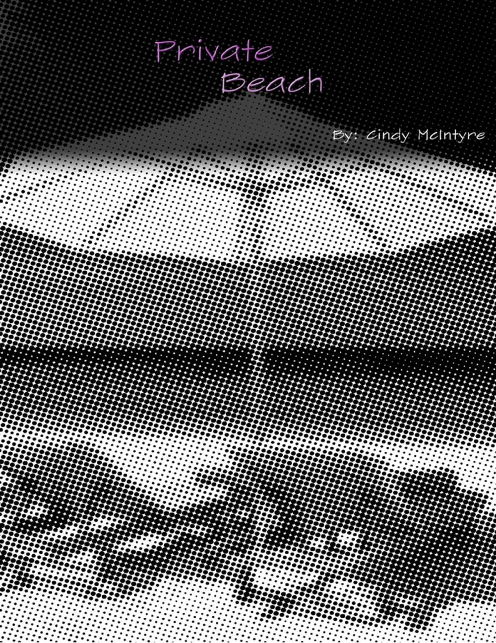 Big bigCover of Private Beach