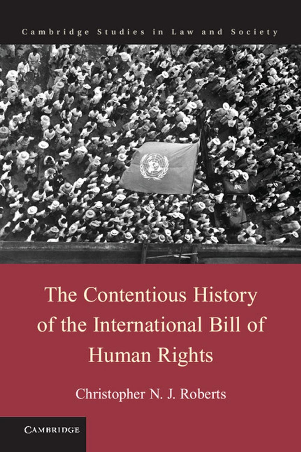 Big bigCover of The Contentious History of the International Bill of Human Rights