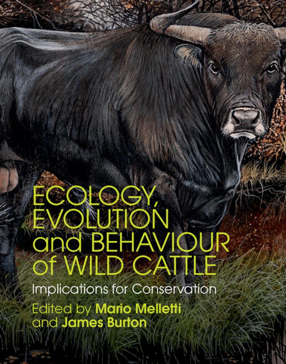 Big bigCover of Ecology, Evolution and Behaviour of Wild Cattle