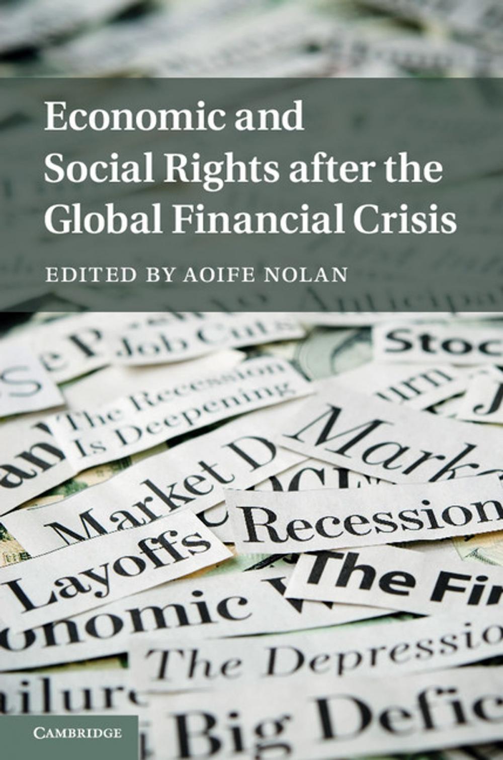 Big bigCover of Economic and Social Rights after the Global Financial Crisis