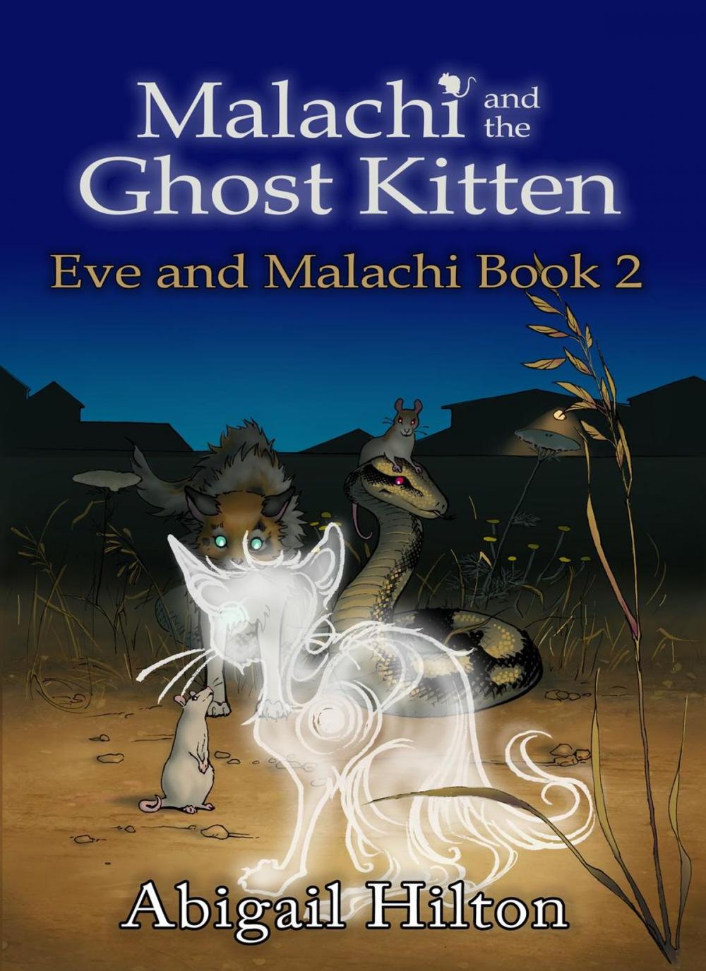 Big bigCover of Malachi and the Ghost Kitten