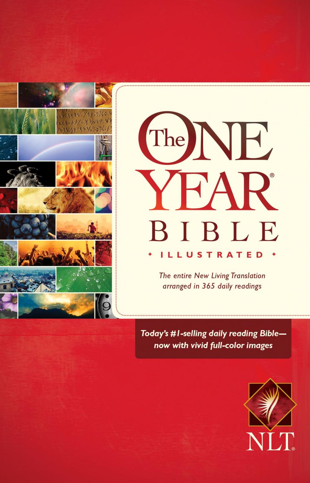 Big bigCover of The One Year Bible Illustrated NLT