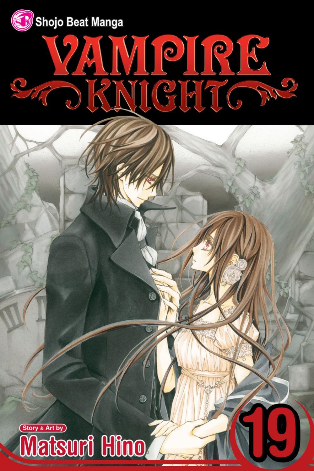 Big bigCover of Vampire Knight, Vol. 19