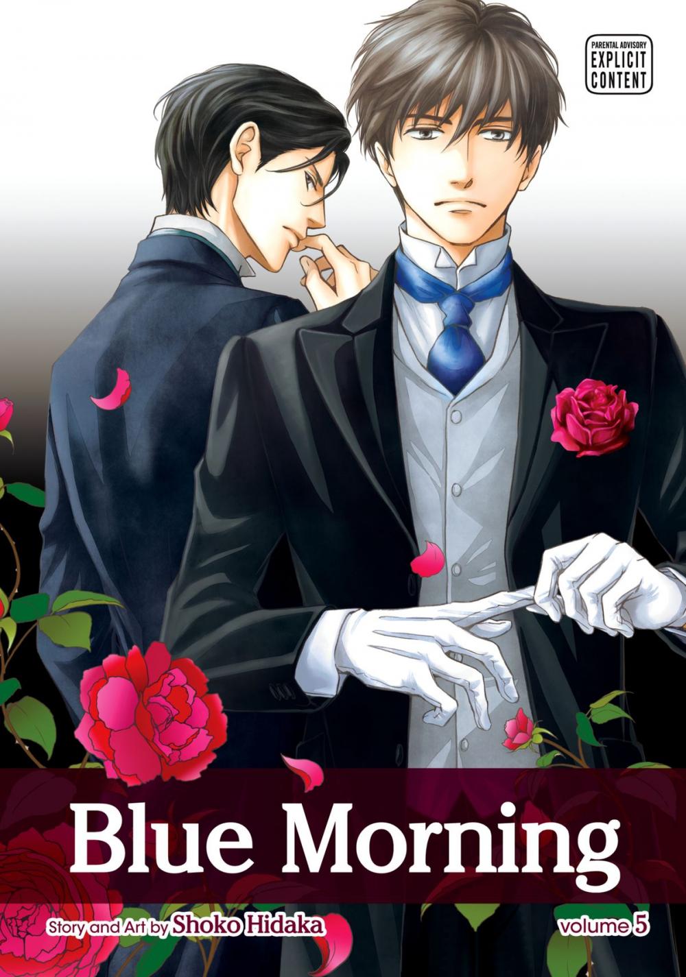 Big bigCover of Blue Morning, Vol. 5 (Yaoi Manga)