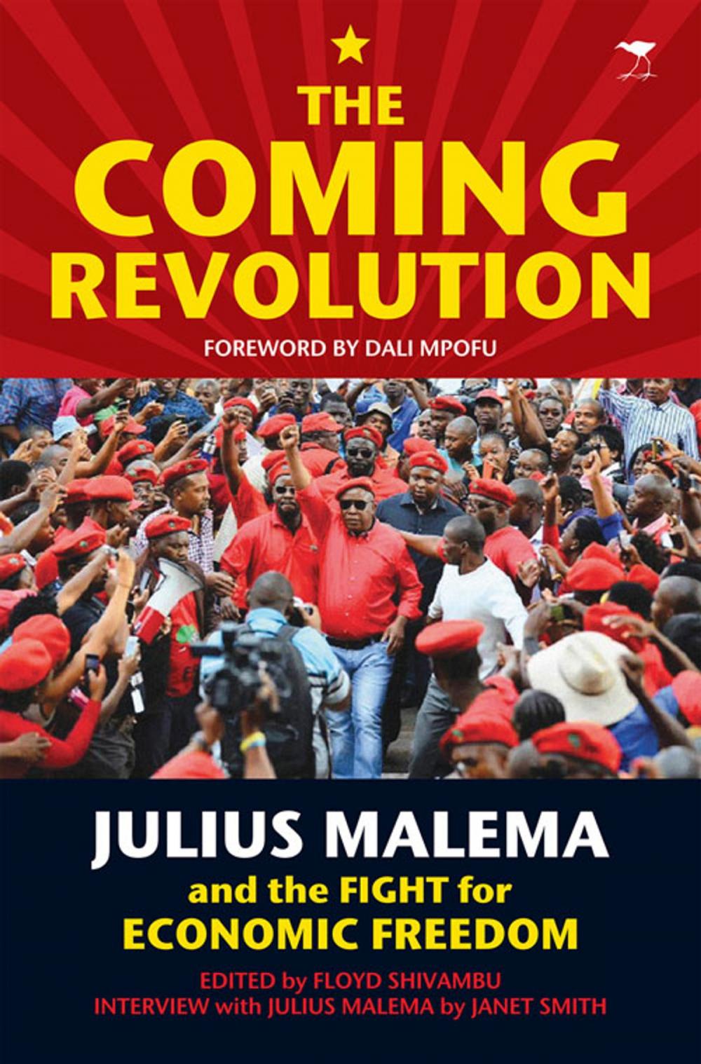 Big bigCover of The Coming Revolution