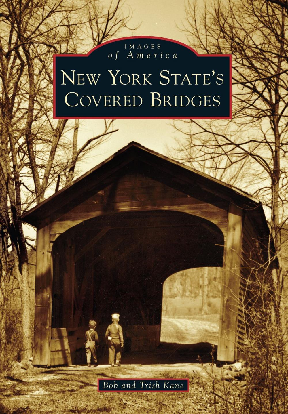 Big bigCover of New York State's Covered Bridges