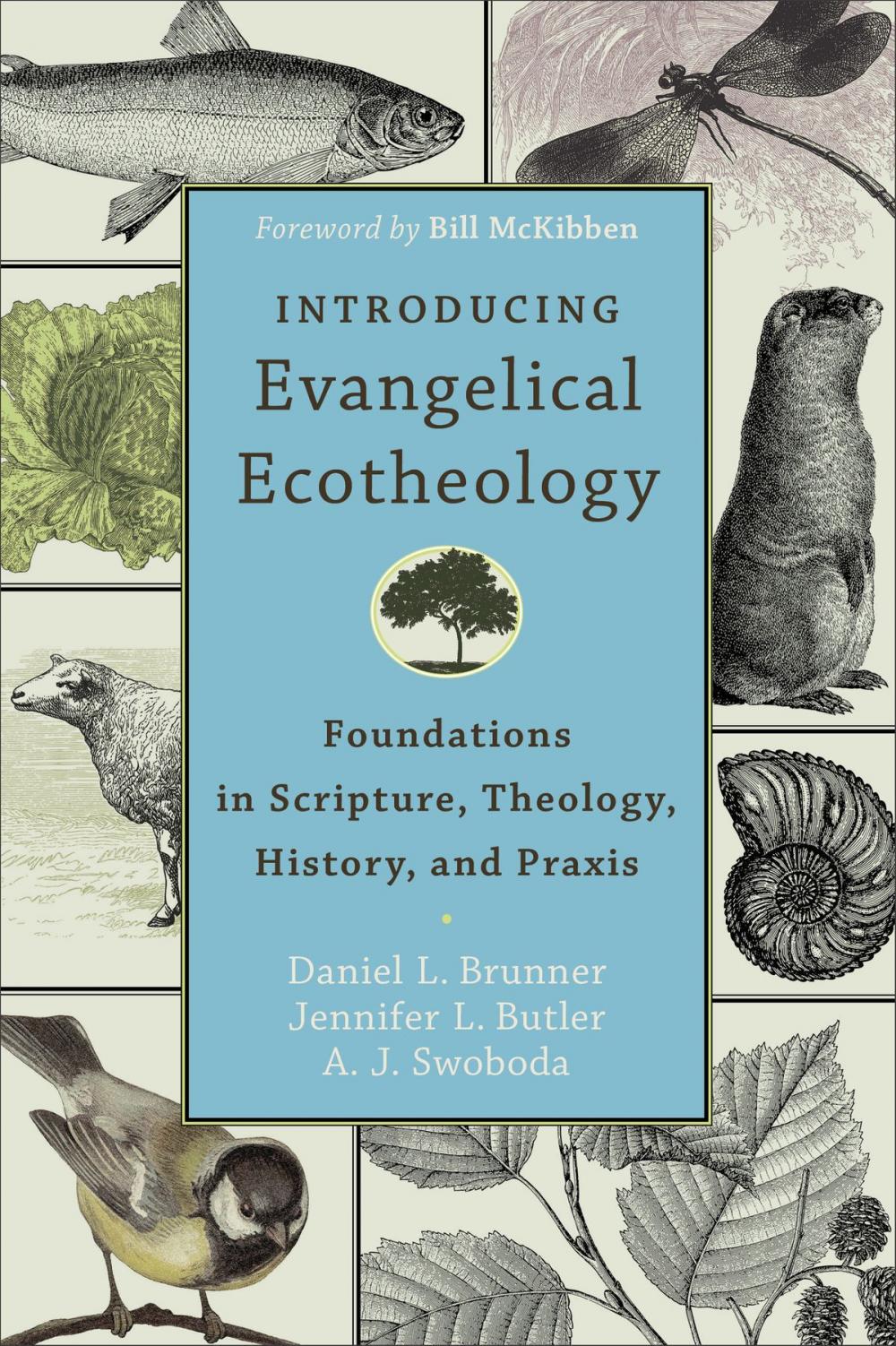 Big bigCover of Introducing Evangelical Ecotheology