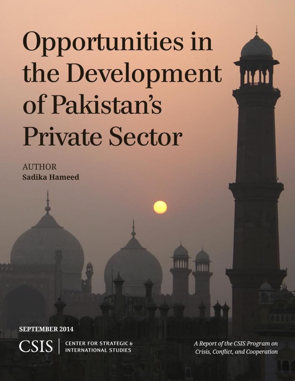 Big bigCover of Opportunities in the Development of Pakistan's Private Sector