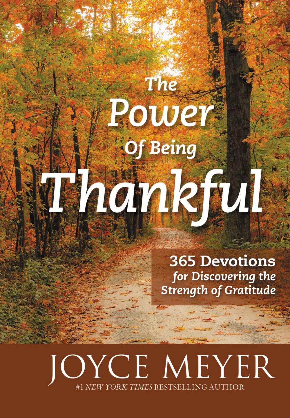 Big bigCover of The Power of Being Thankful