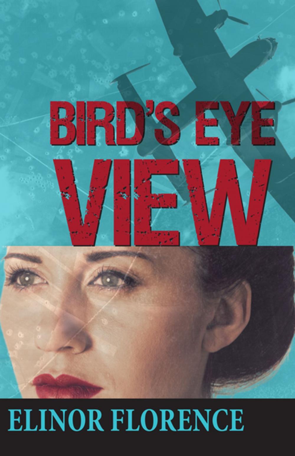 Big bigCover of Bird's Eye View