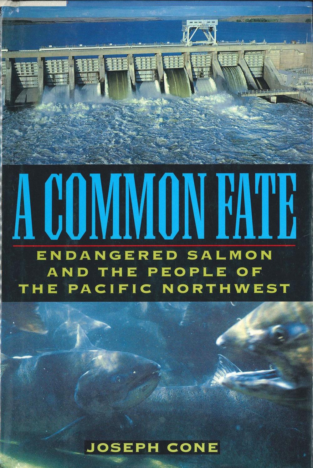 Big bigCover of A Common Fate