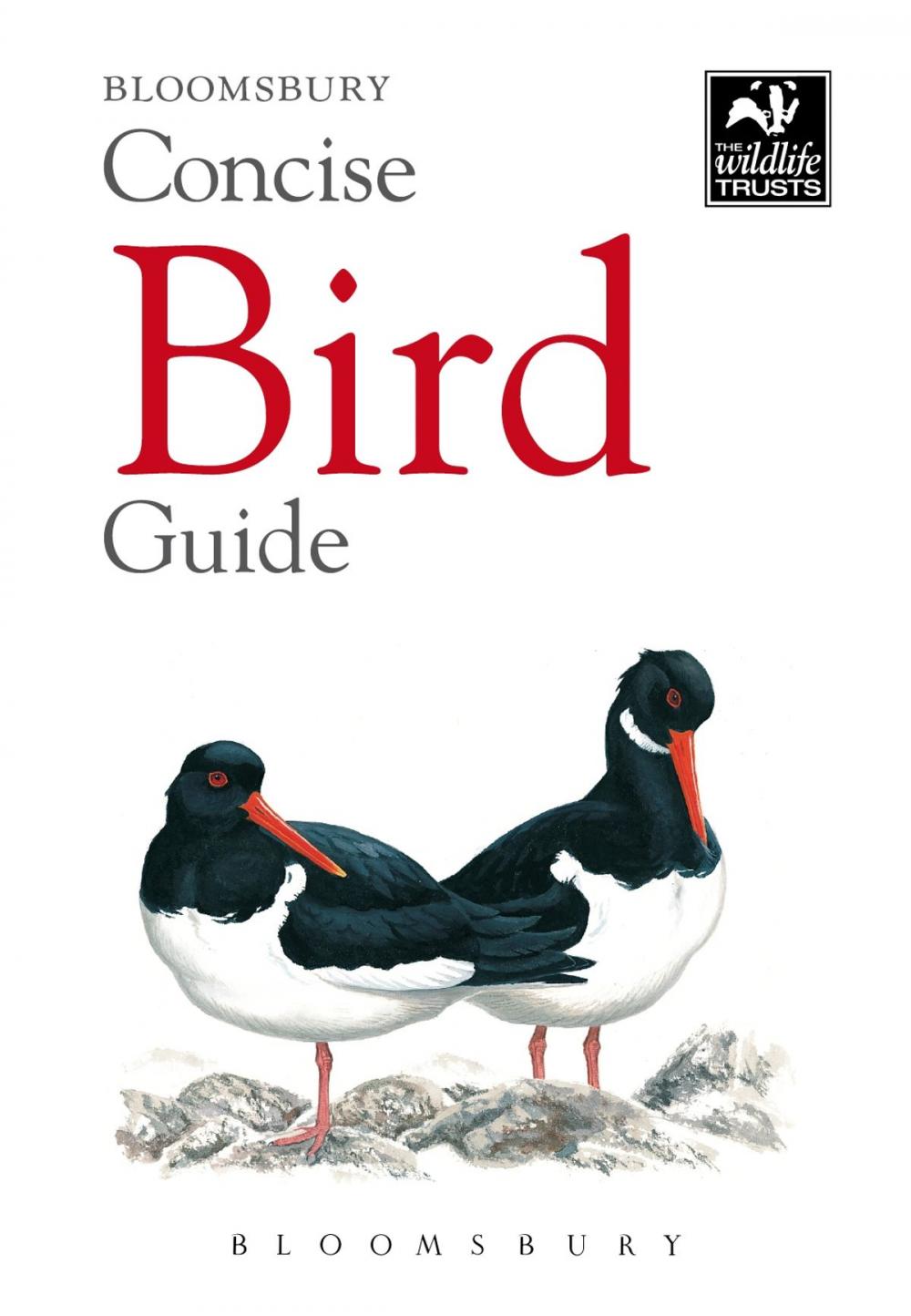 Big bigCover of Concise Bird Guide