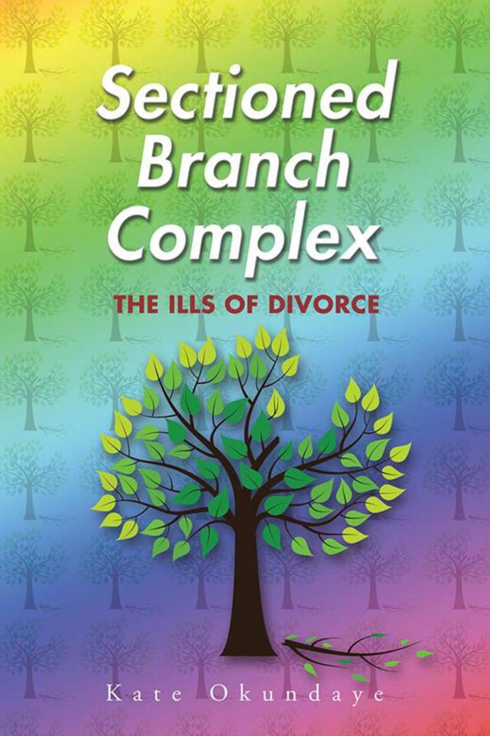 Big bigCover of Sectioned Branch Complex