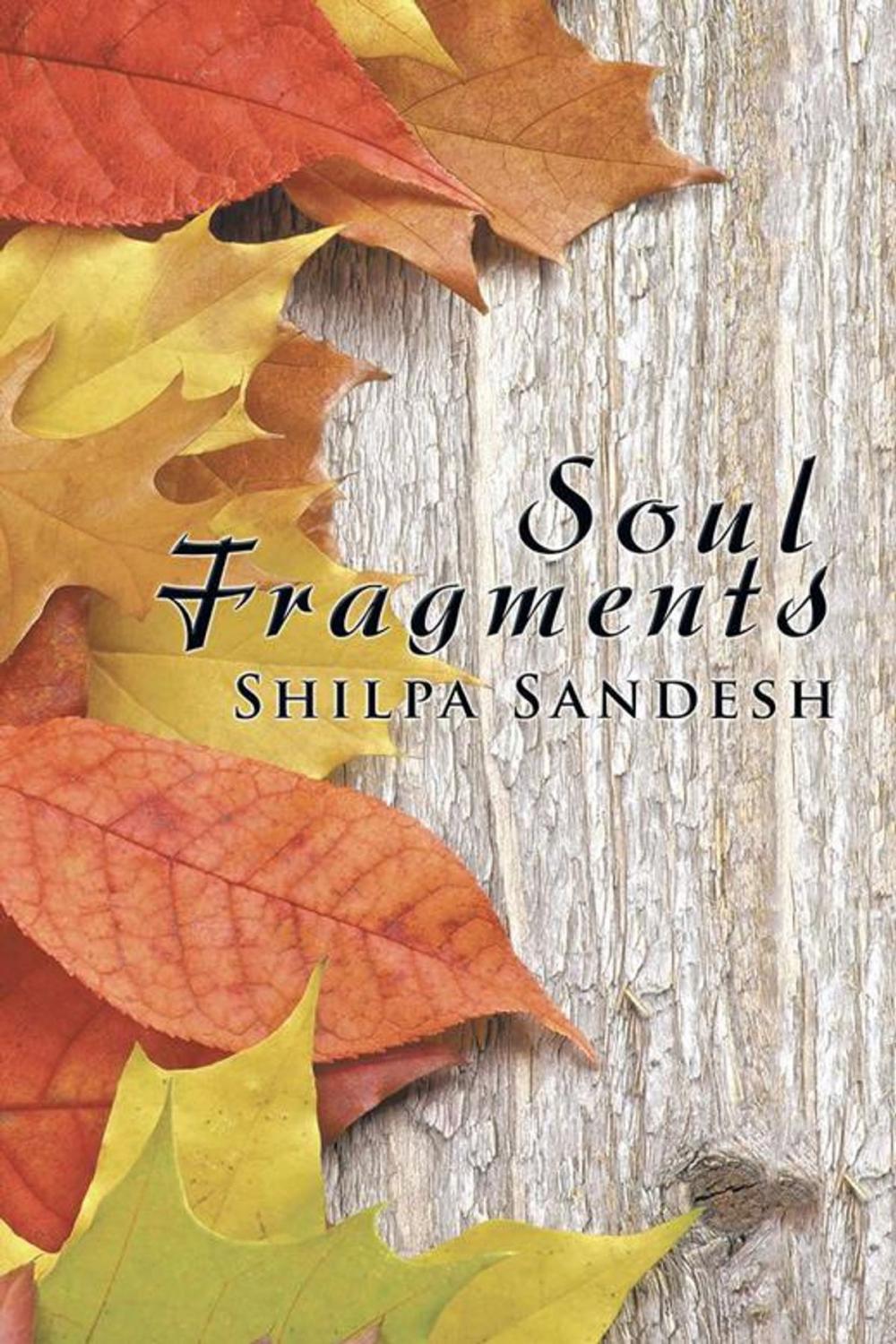 Big bigCover of Soul Fragments