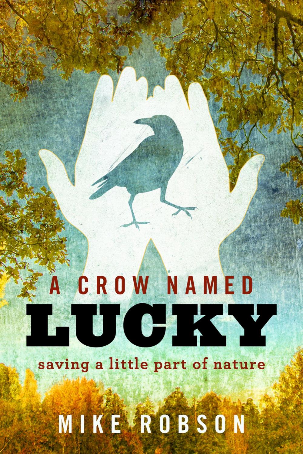 Big bigCover of A Crow Named Lucky