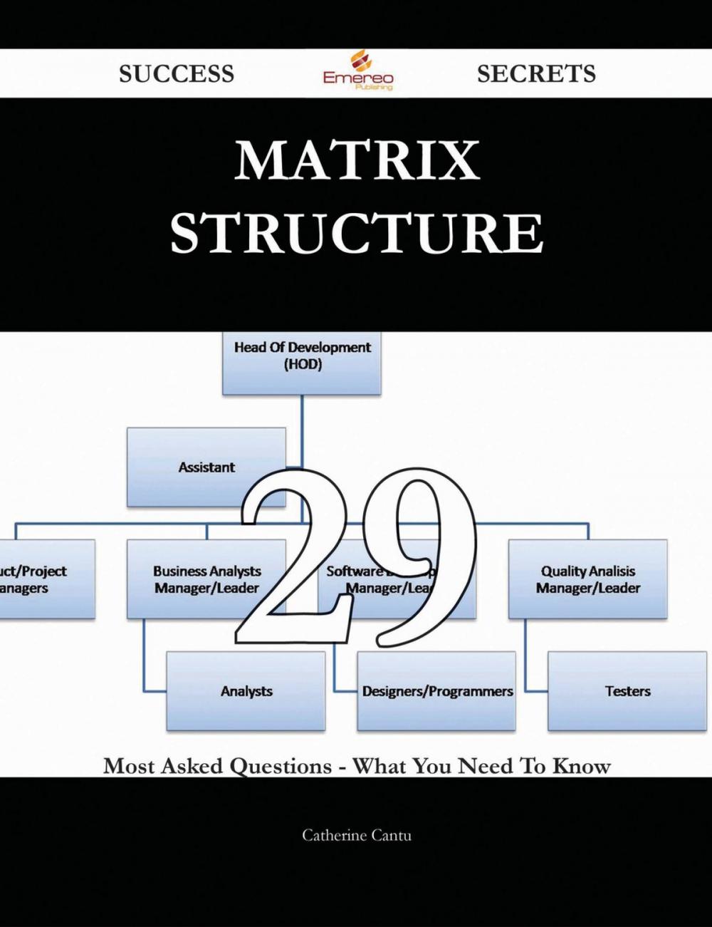 Big bigCover of Matrix Structure 29 Success Secrets - 29 Most Asked Questions On Matrix Structure - What You Need To Know