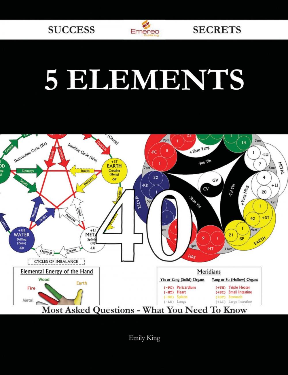 Big bigCover of 5 Elements 40 Success Secrets - 40 Most Asked Questions On 5 Elements - What You Need To Know