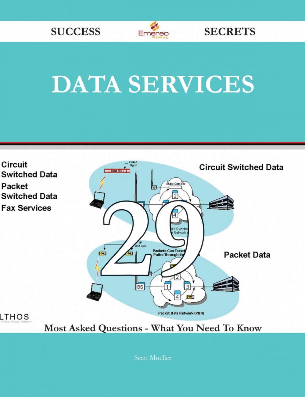 Big bigCover of Data Services 29 Success Secrets - 29 Most Asked Questions On Data Services - What You Need To Know