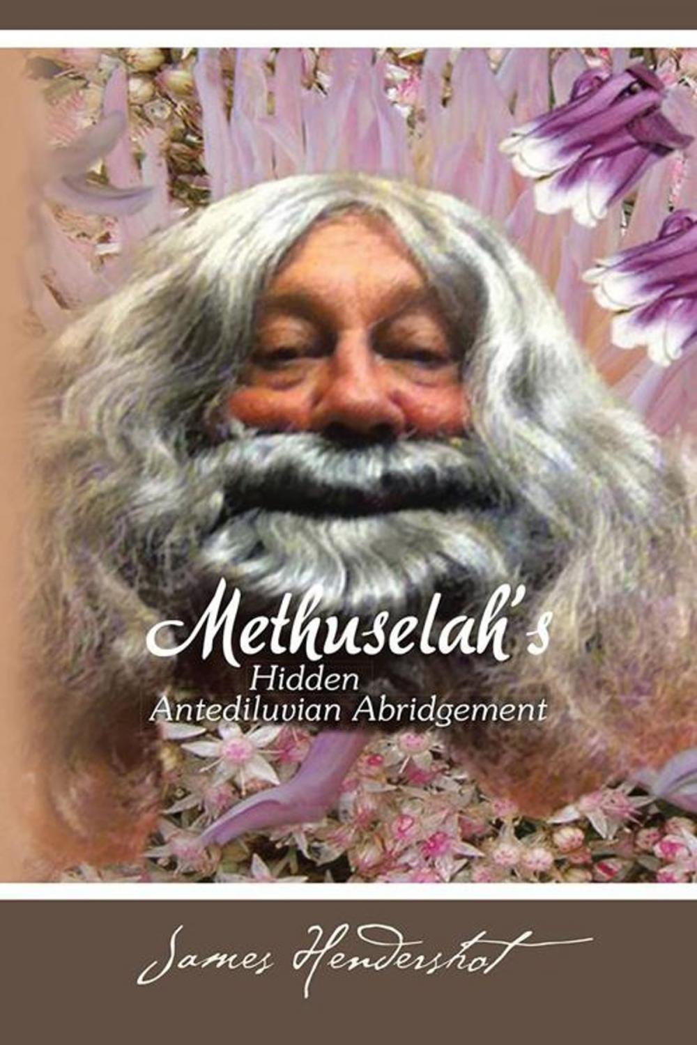 Big bigCover of Methuselah's Hidden Antediluvian Abridgement