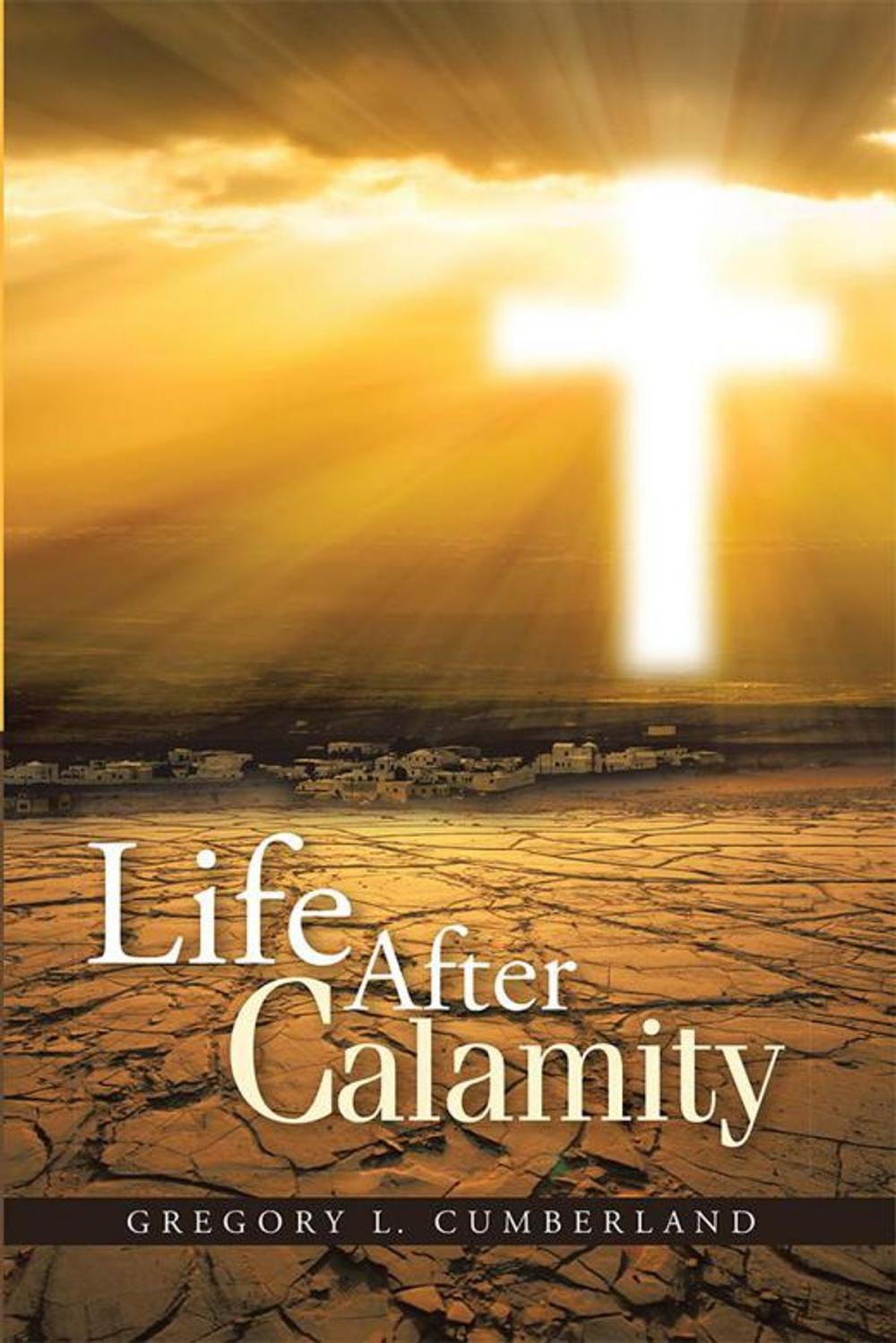 Big bigCover of Life After Calamity