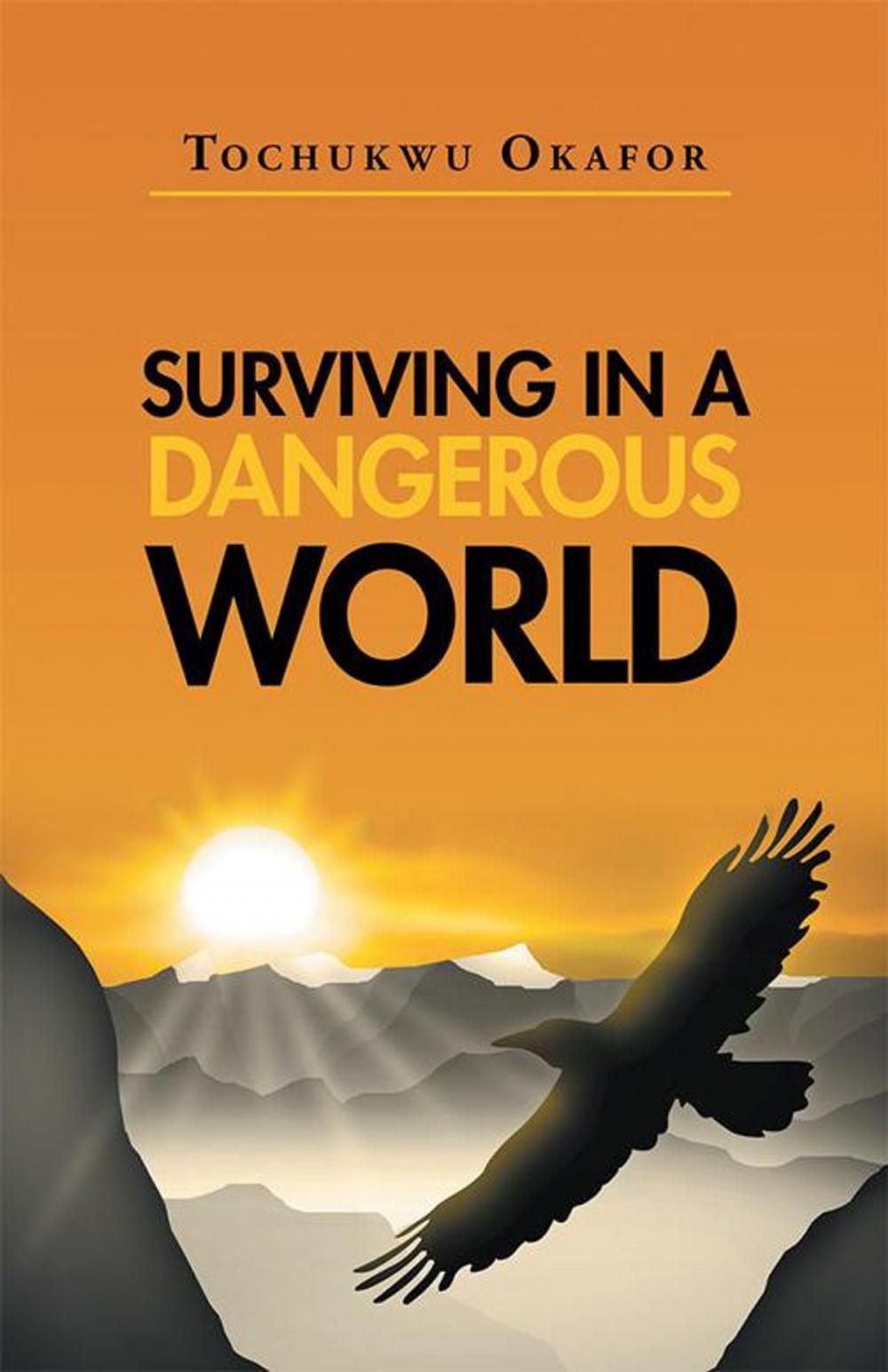 Big bigCover of Surviving in a Dangerous World