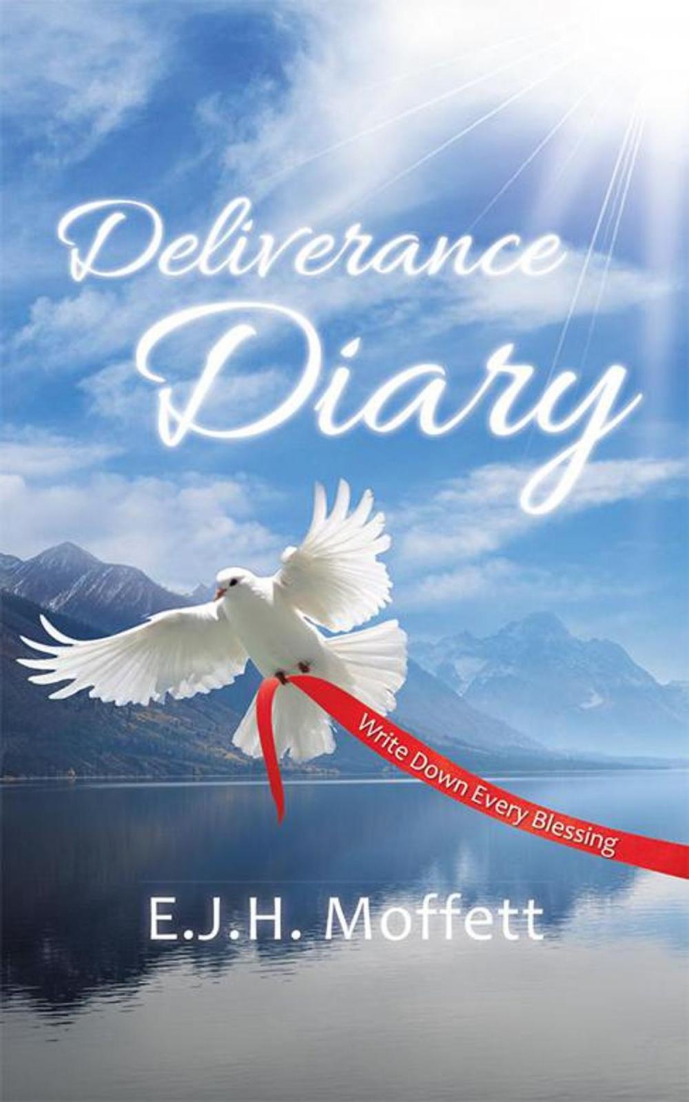 Big bigCover of Deliverance Diary