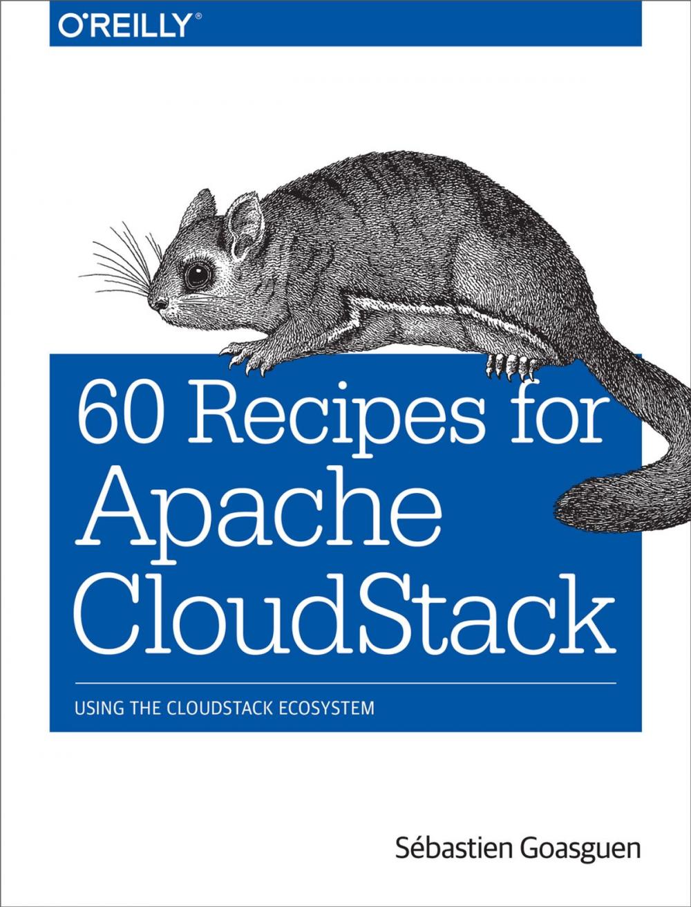 Big bigCover of 60 Recipes for Apache CloudStack