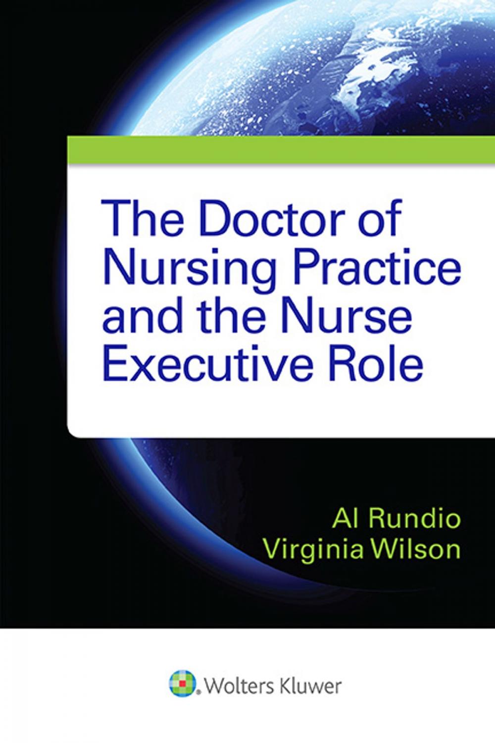 Big bigCover of The Doctor of Nursing Practice and the Nurse Executive Role