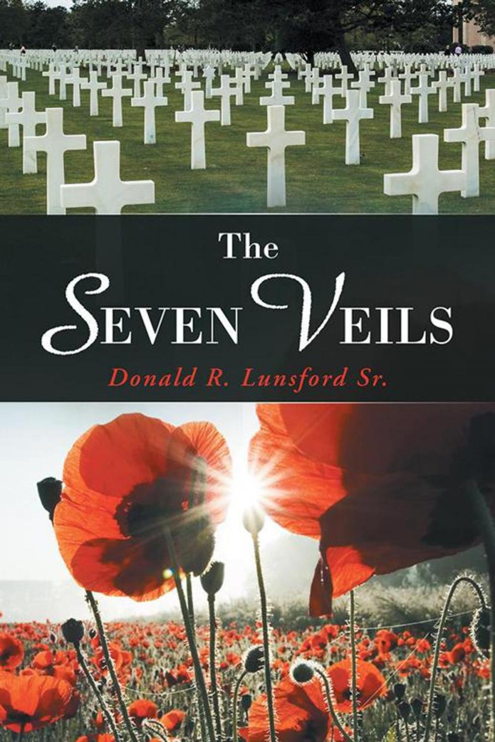 Big bigCover of The Seven Veils