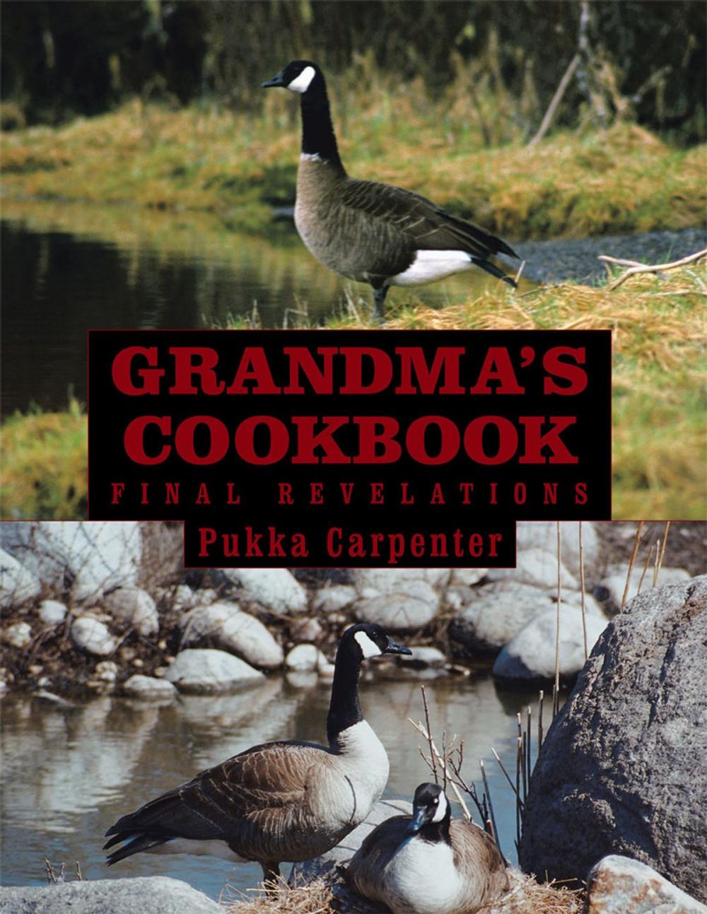 Big bigCover of Grandma’S Cookbook