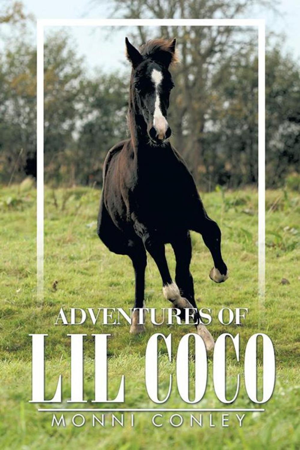 Big bigCover of Adventures of Lil Coco