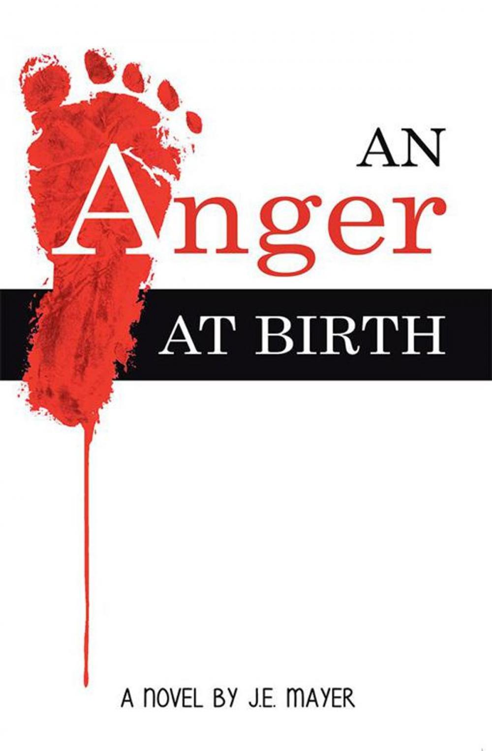 Big bigCover of An Anger at Birth