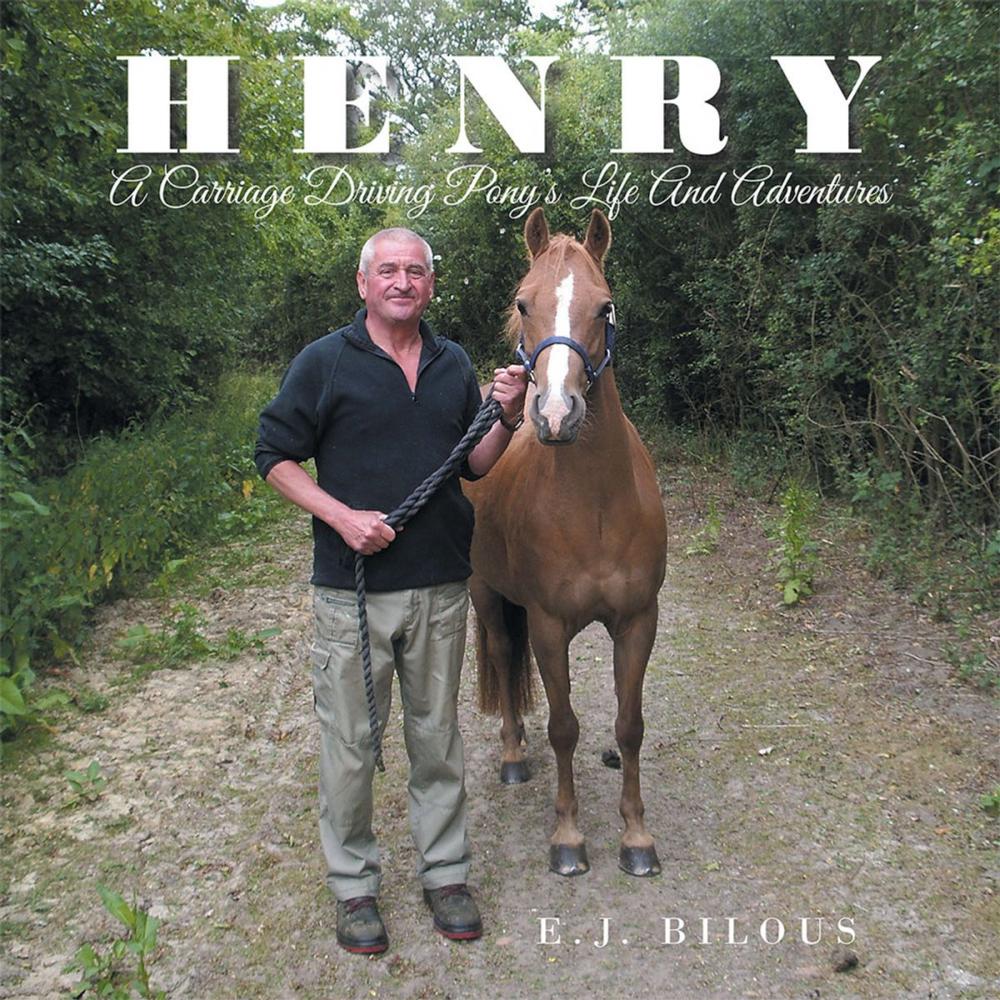 Big bigCover of Henry