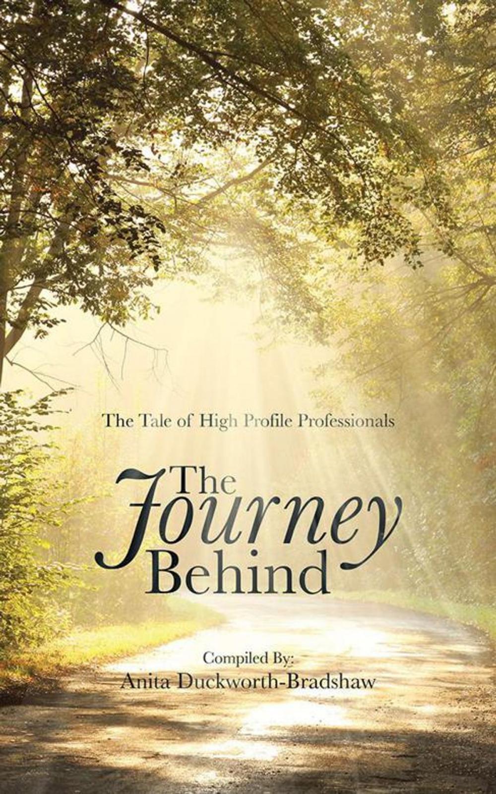 Big bigCover of The Journey Behind