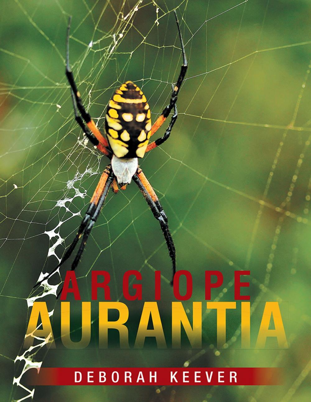 Big bigCover of Argiope Aurantia