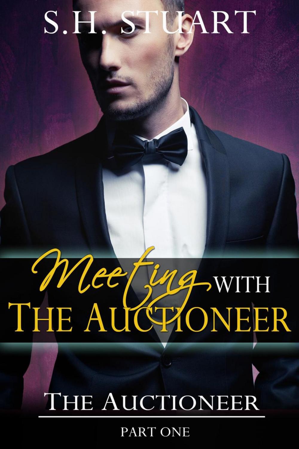 Big bigCover of Meeting with The Auctioneer: The Auctioneer Part I