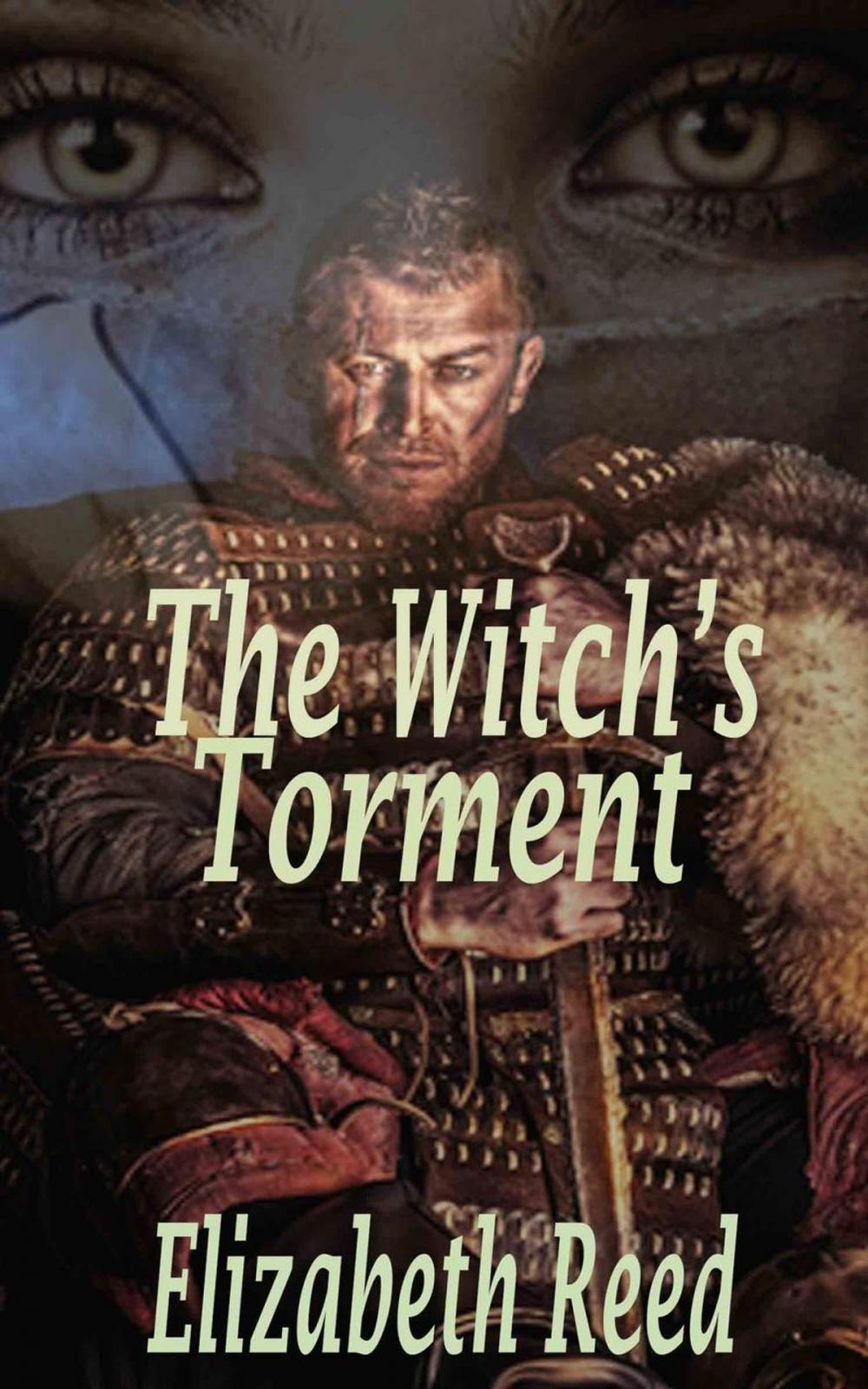 Big bigCover of The Witch's Torment