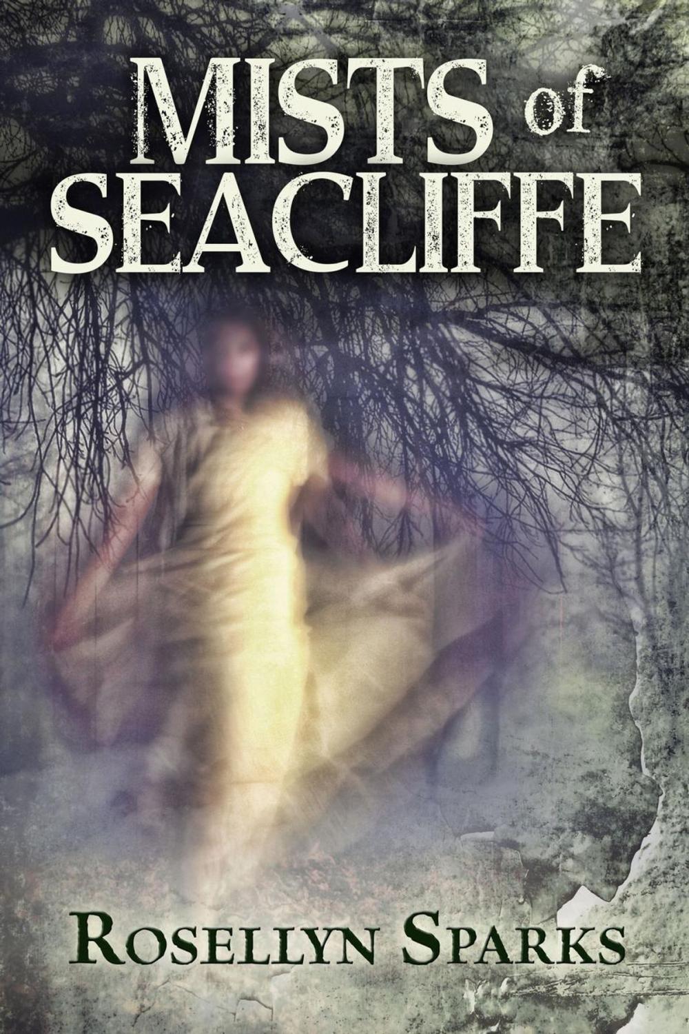 Big bigCover of Mists of Seacliffe