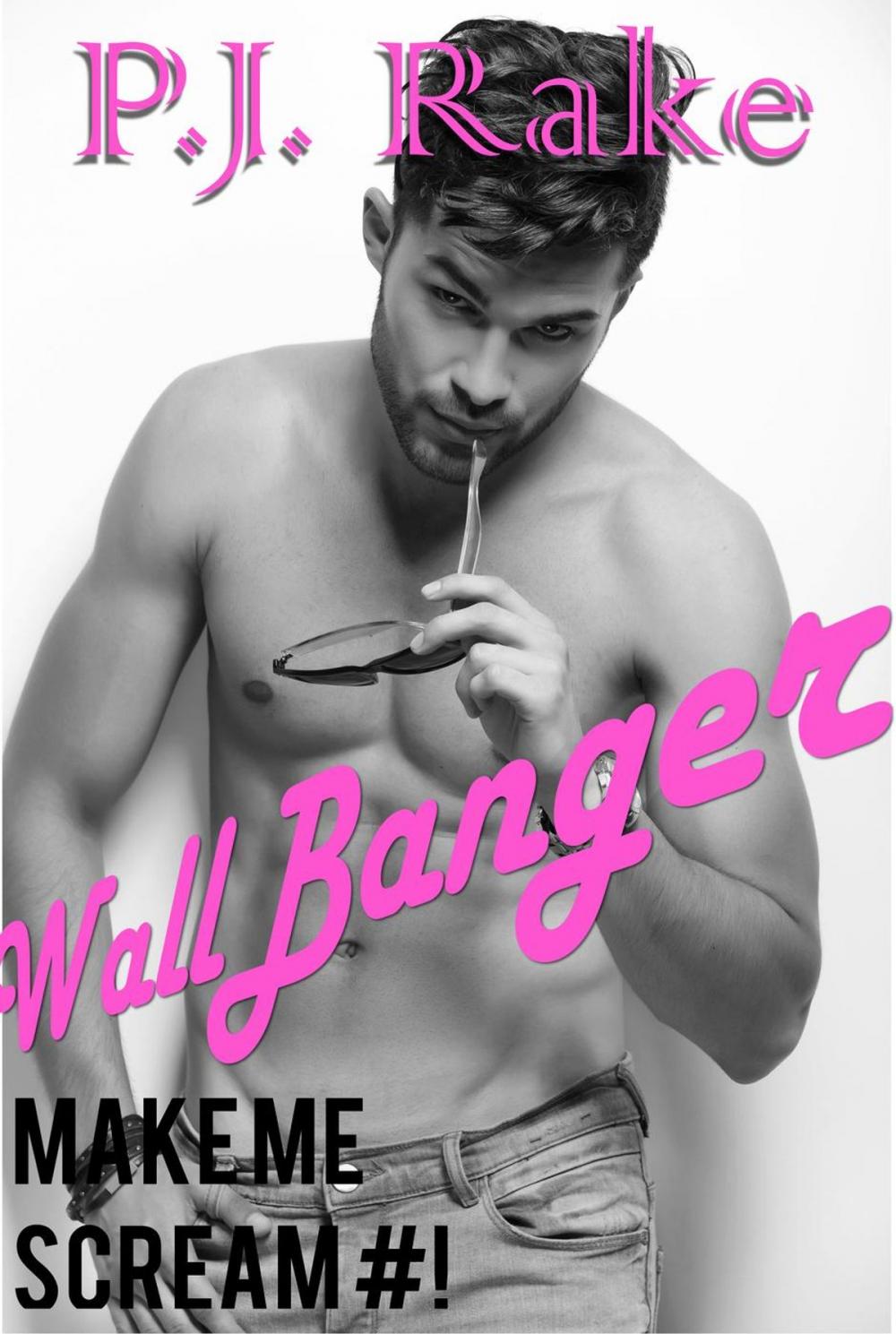 Big bigCover of Wallbanger